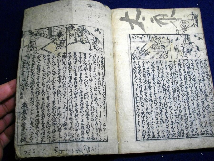 イメージ 7