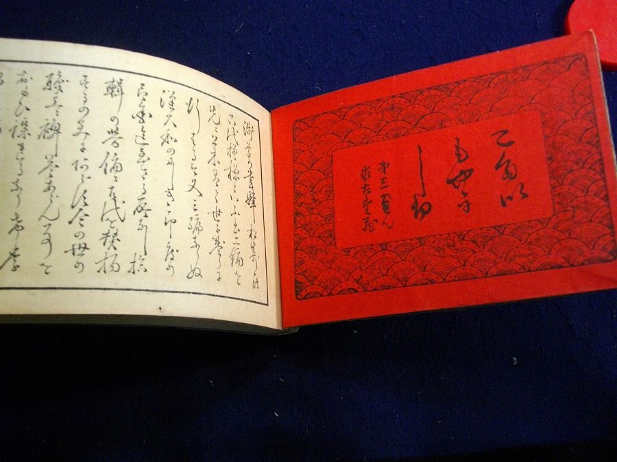 イメージ 5