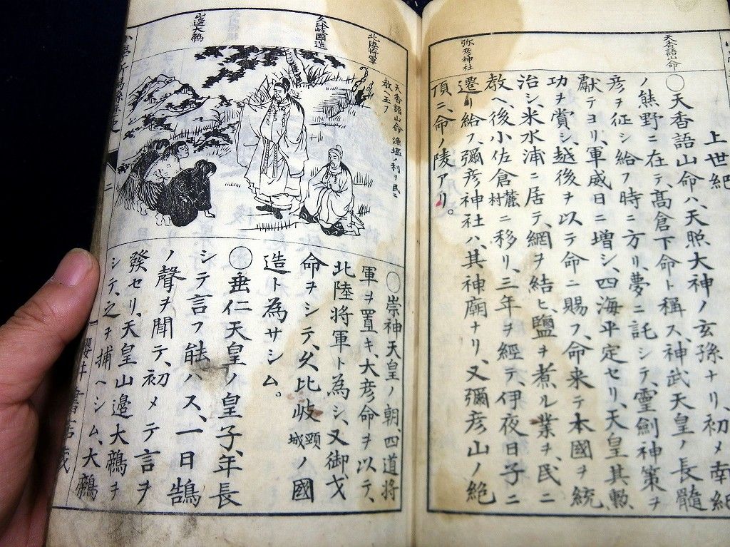 イメージ 5