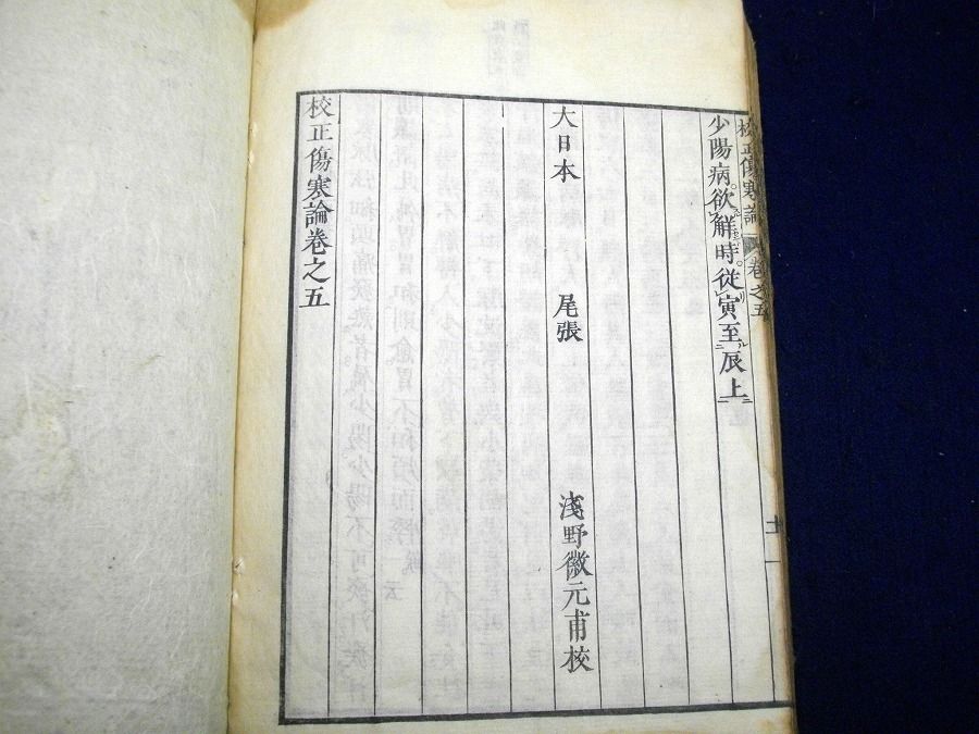 イメージ 5