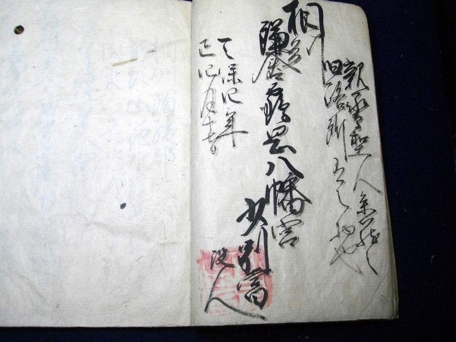 イメージ 7