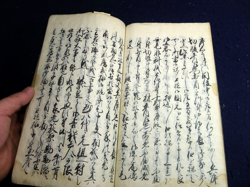 イメージ 3