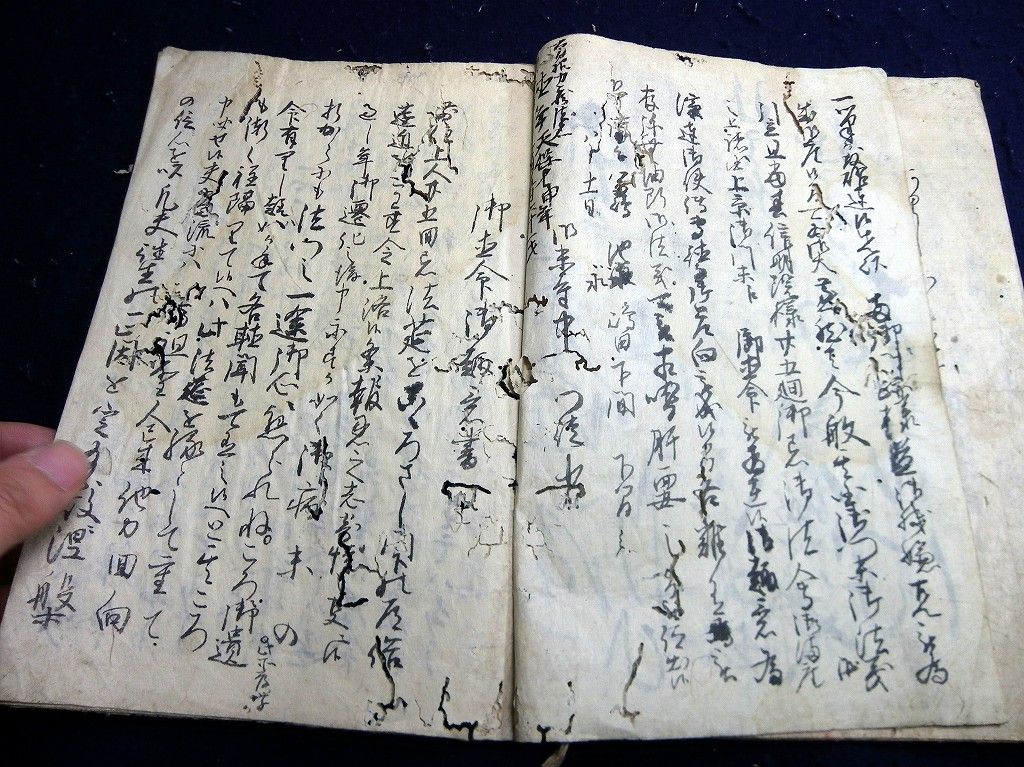 イメージ 6