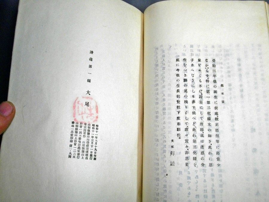 イメージ 5