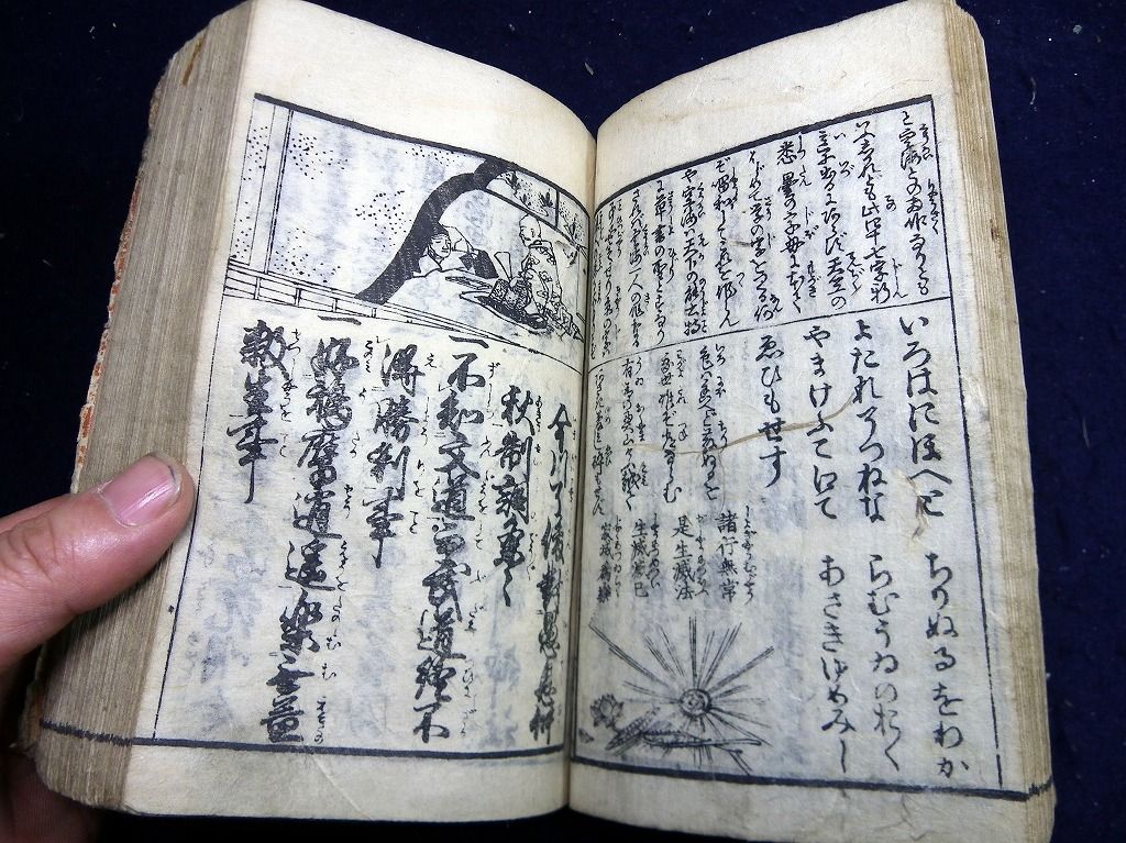 イメージ 8