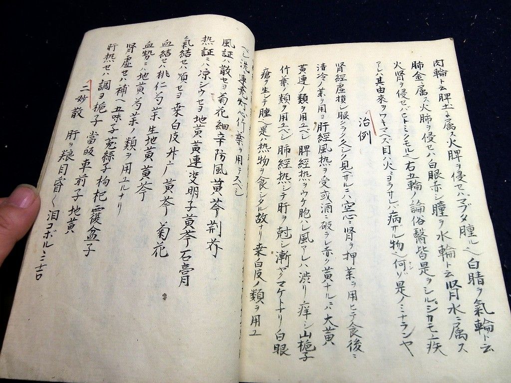 イメージ 10