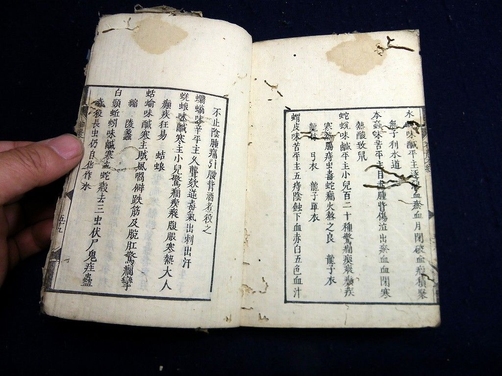 イメージ 8