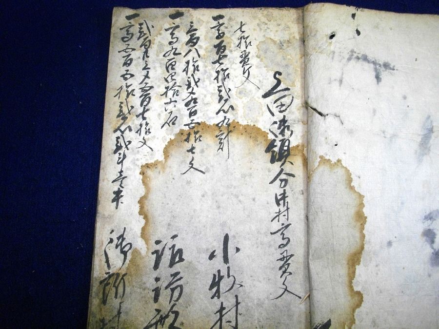 イメージ 2