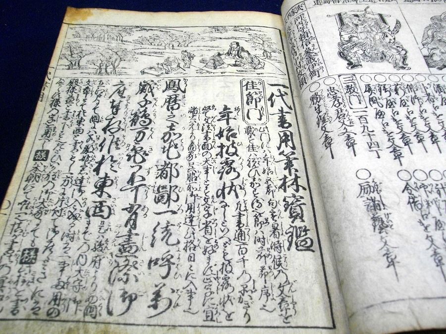 イメージ 5