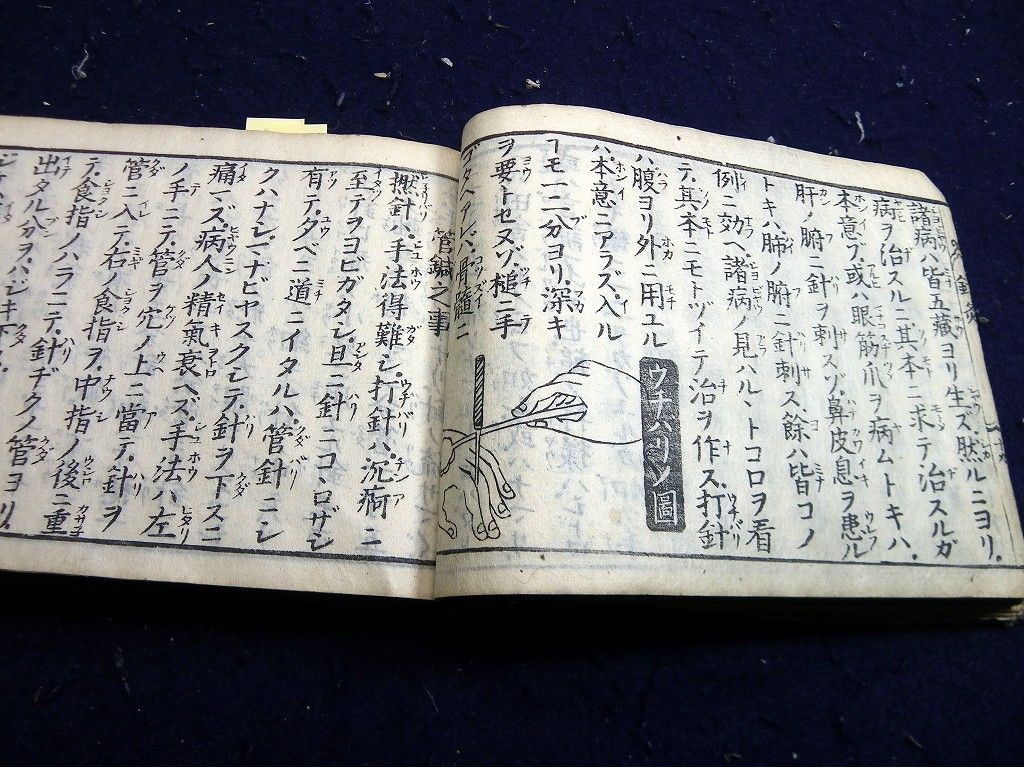 イメージ 6