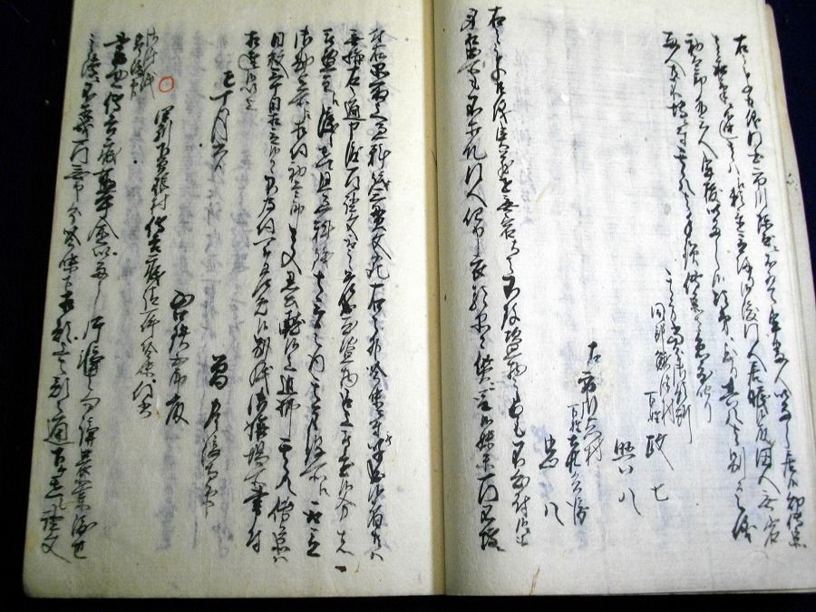 イメージ 6
