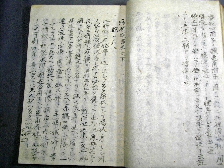 イメージ 4