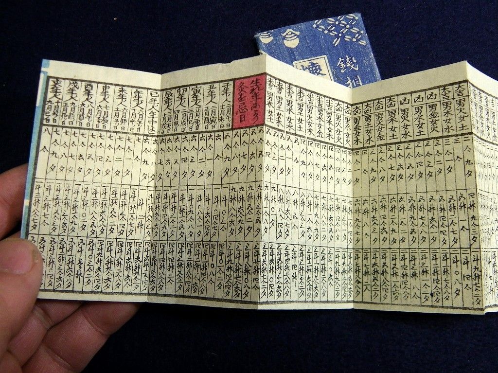 イメージ 5
