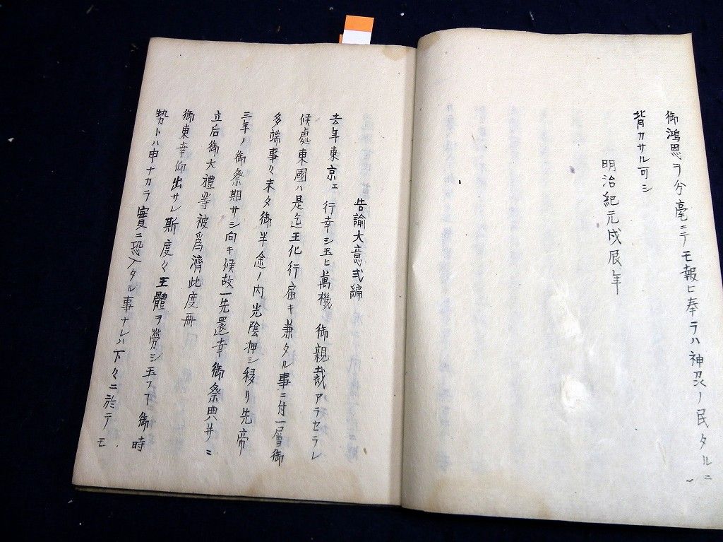 イメージ 6