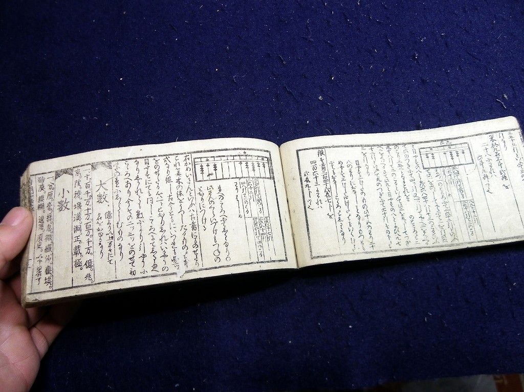 イメージ 5