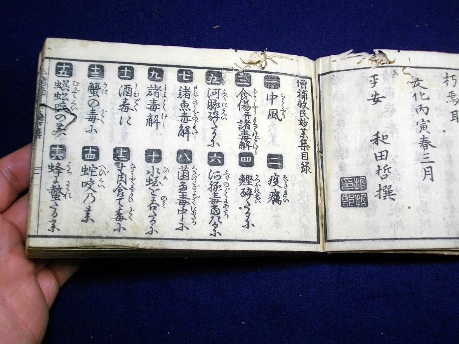 イメージ 4