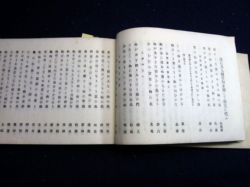 イメージ 6