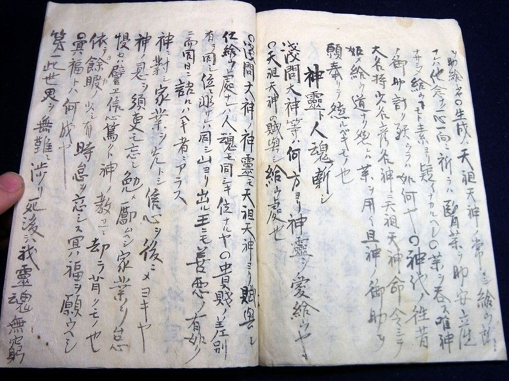 イメージ 7