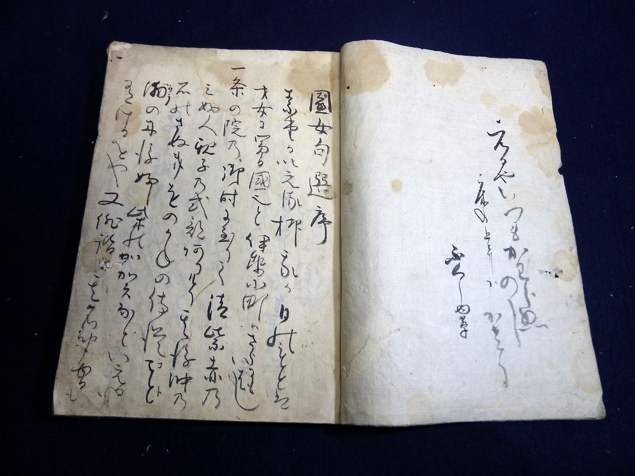 イメージ 2