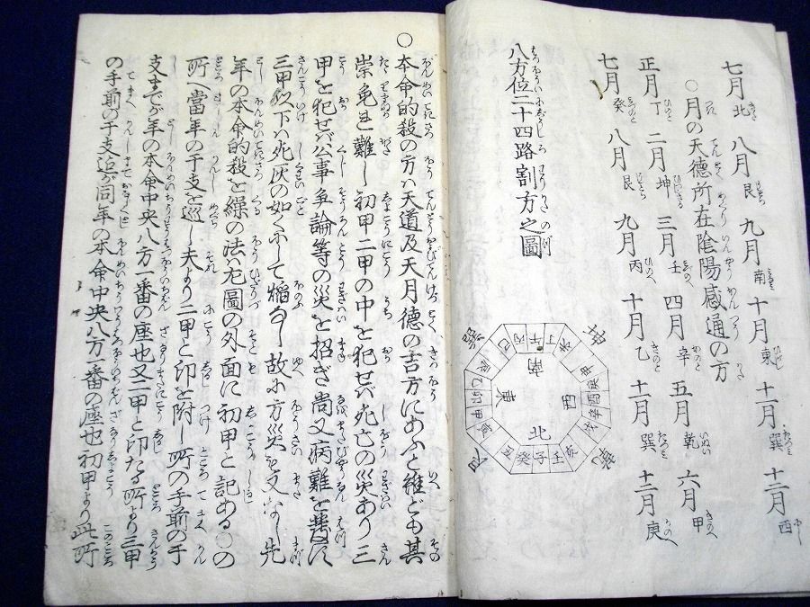 イメージ 4