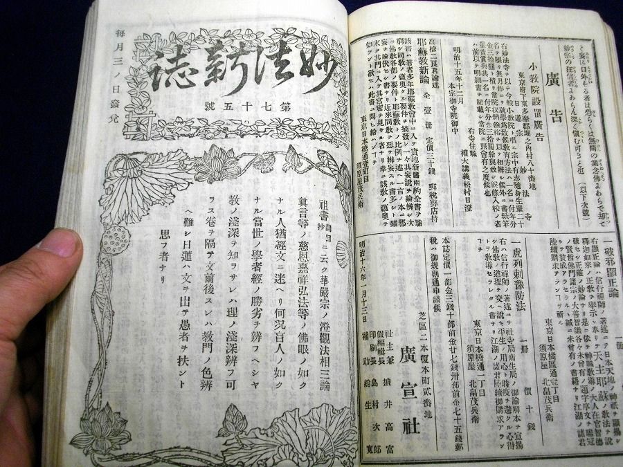 イメージ 6