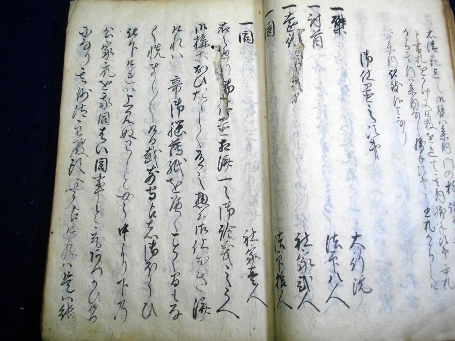 イメージ 5
