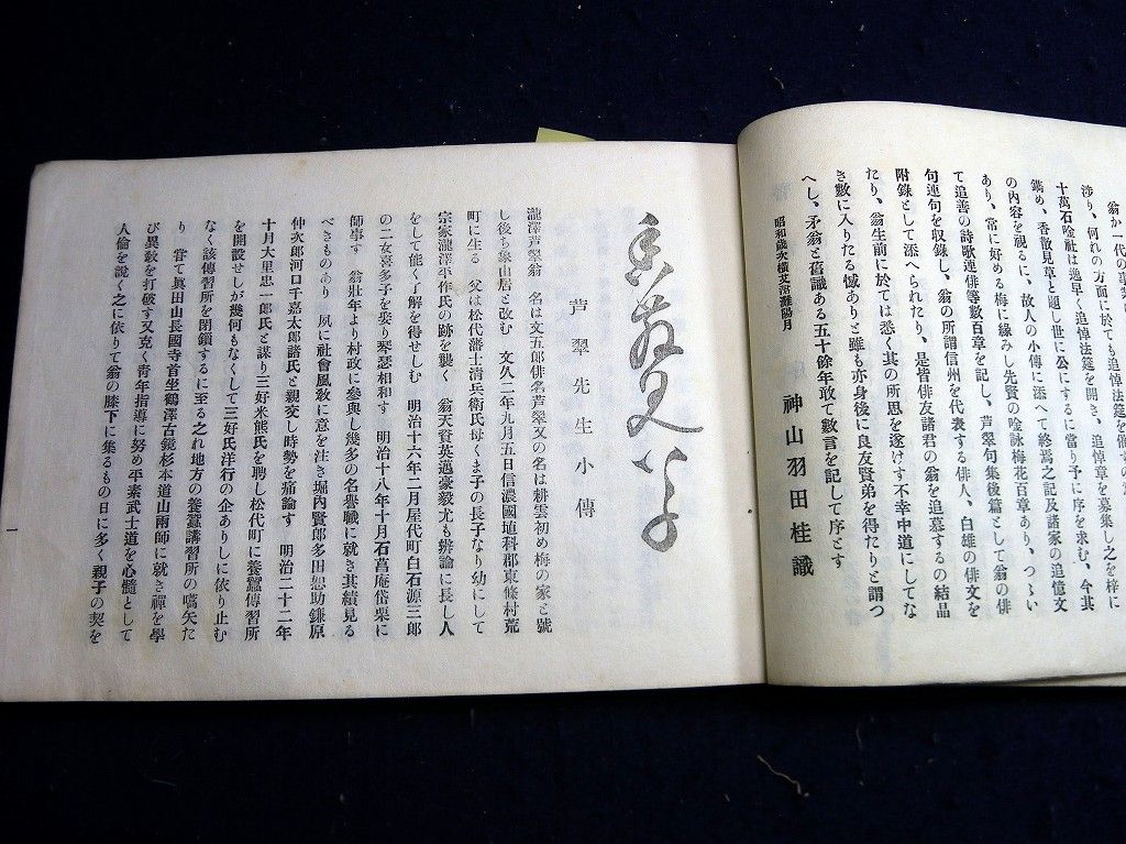 イメージ 4