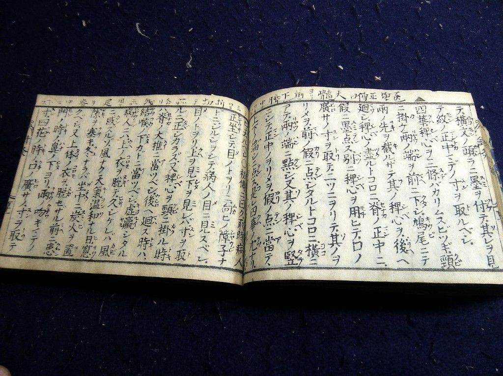 イメージ 11