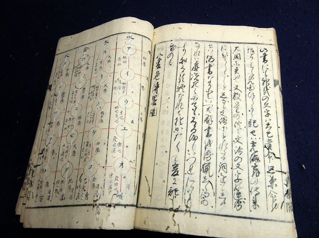 イメージ 14