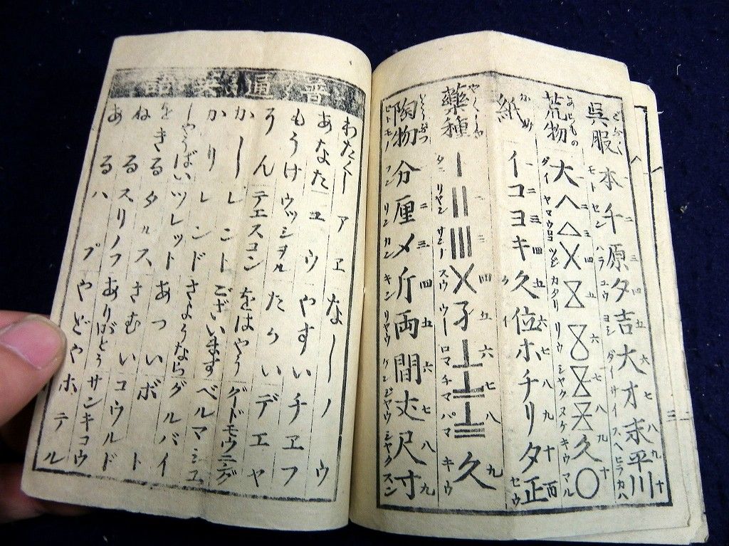 イメージ 4
