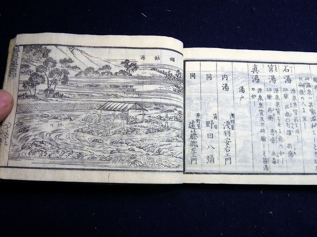 イメージ 5