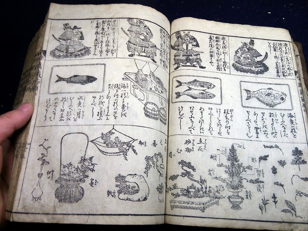 イメージ 7