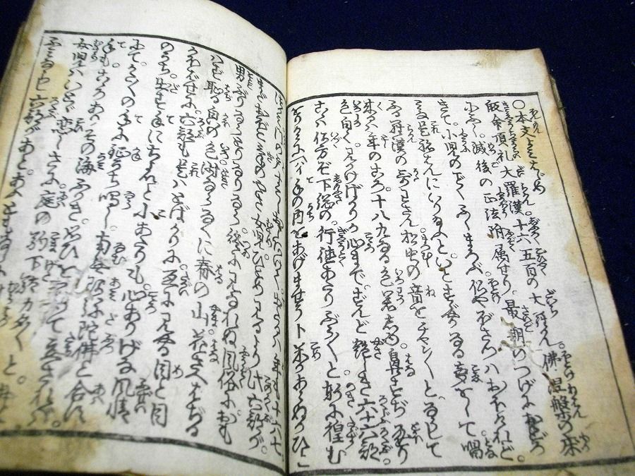 イメージ 5