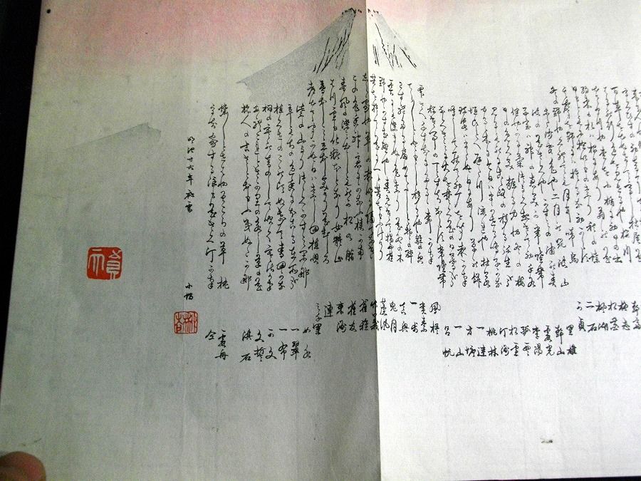 イメージ 5