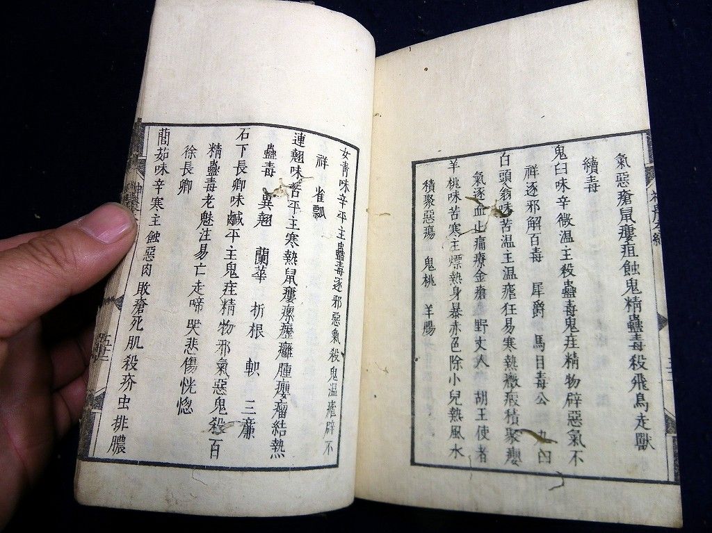 イメージ 7