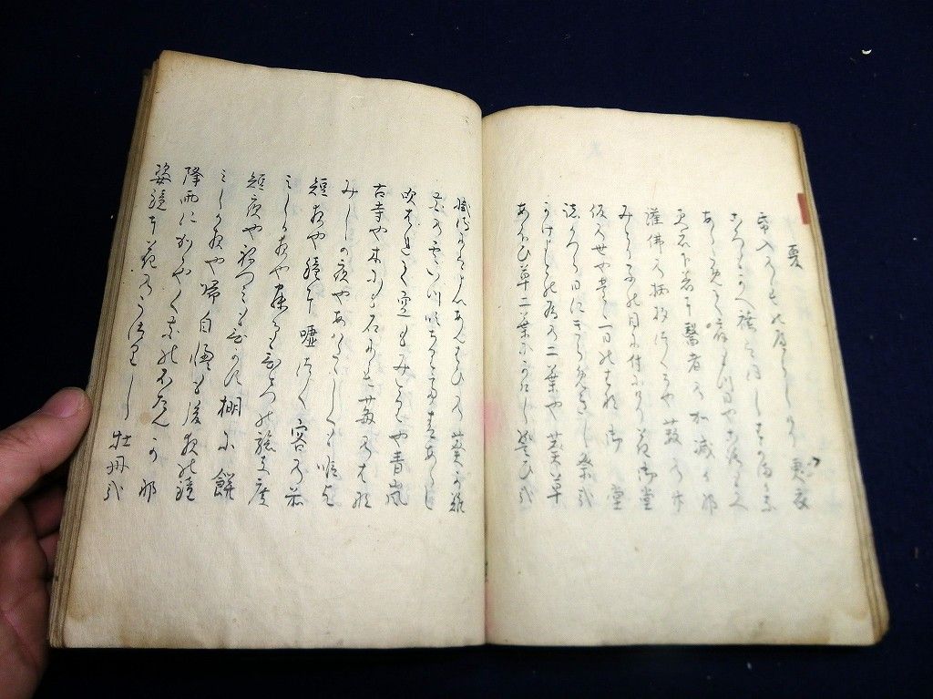 イメージ 5