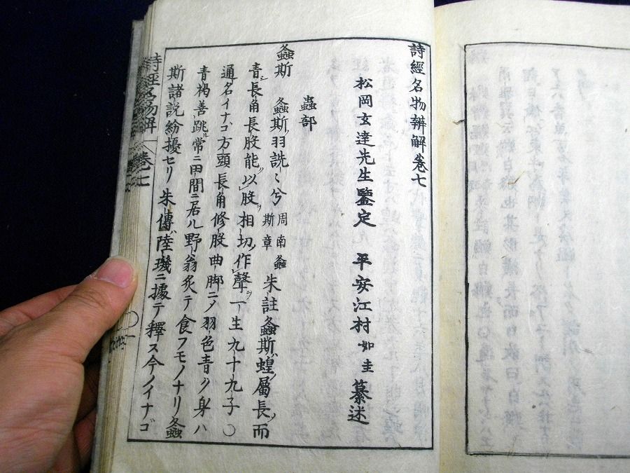 イメージ 9