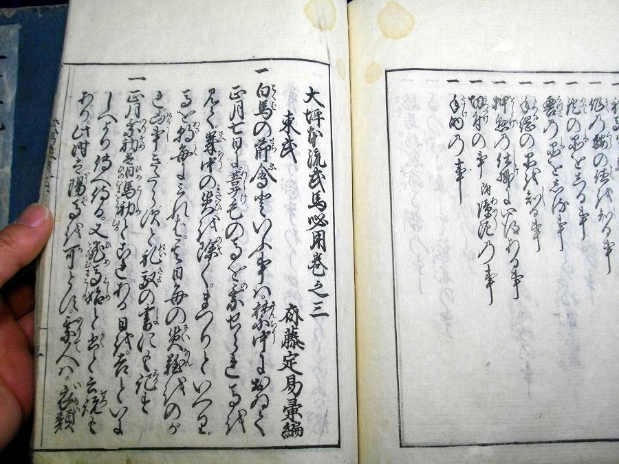 イメージ 7