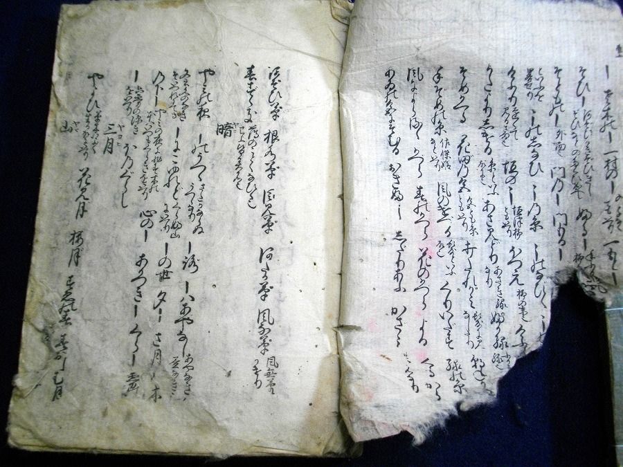イメージ 5
