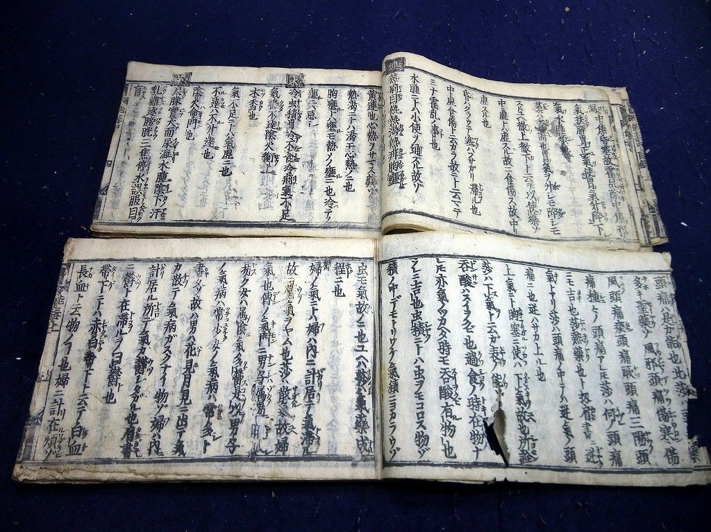 イメージ 3