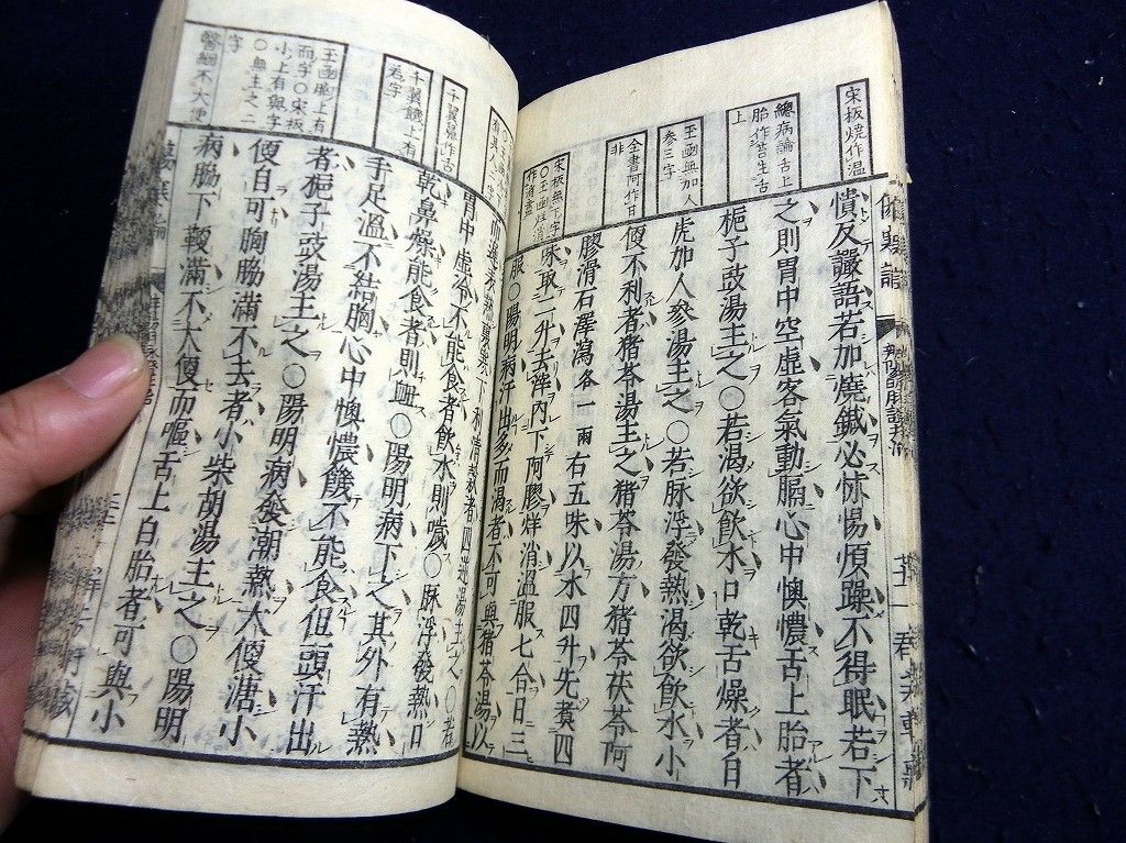 イメージ 6