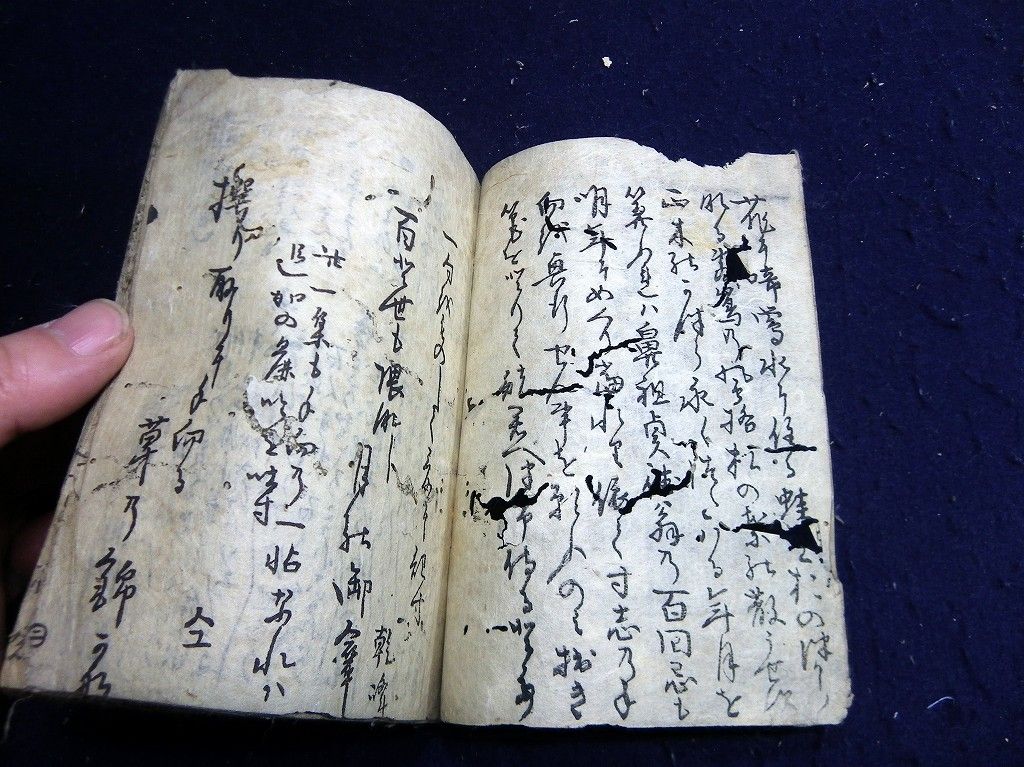 イメージ 2