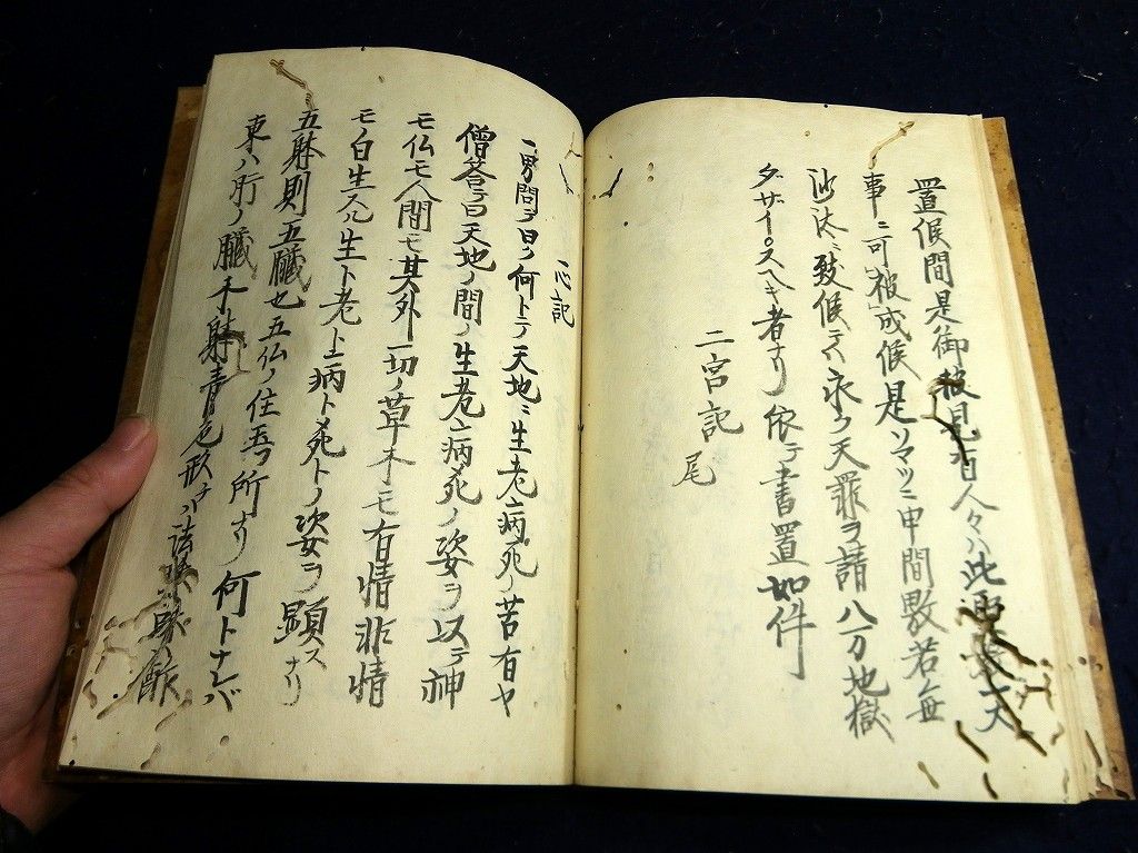 イメージ 5