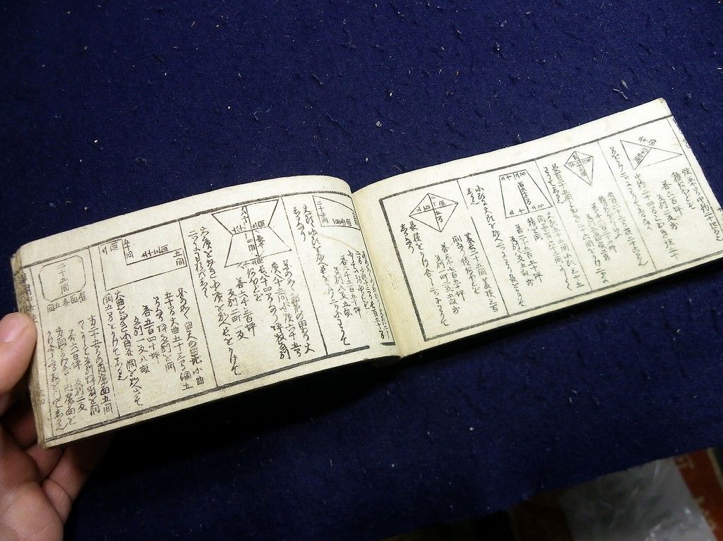 イメージ 7