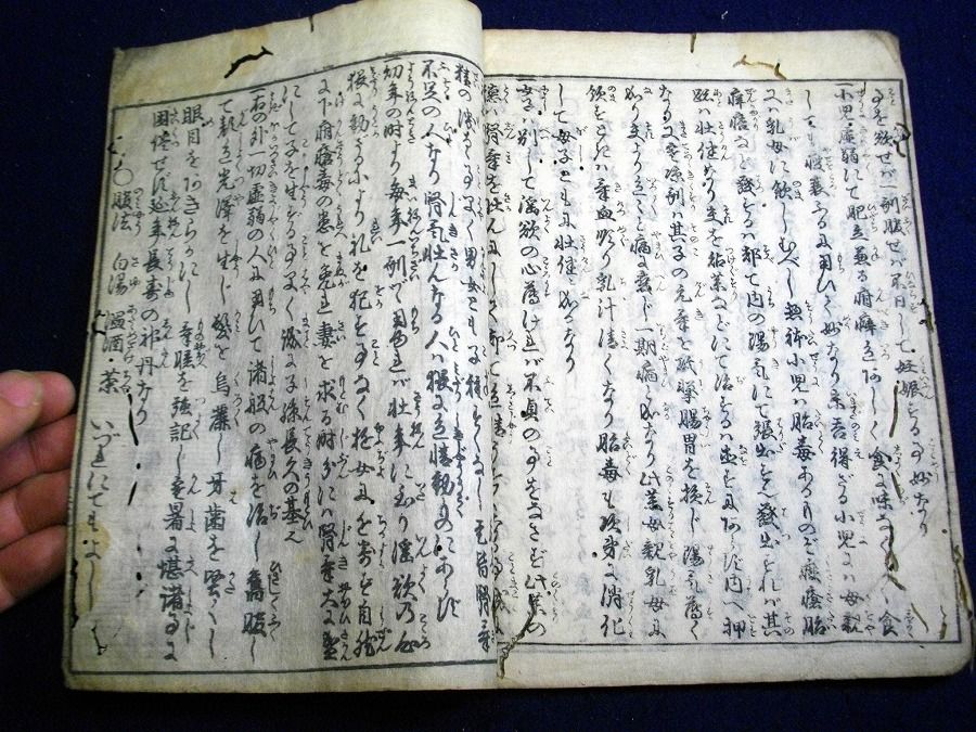 イメージ 5