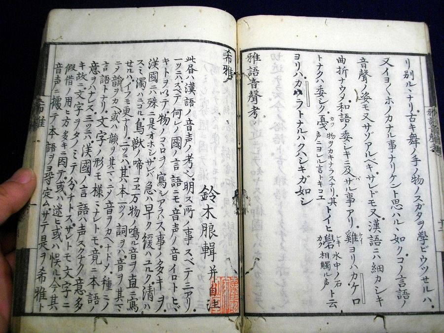 イメージ 4