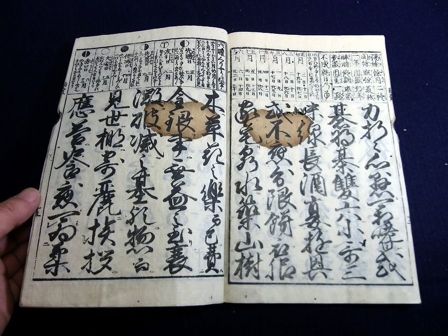 イメージ 6
