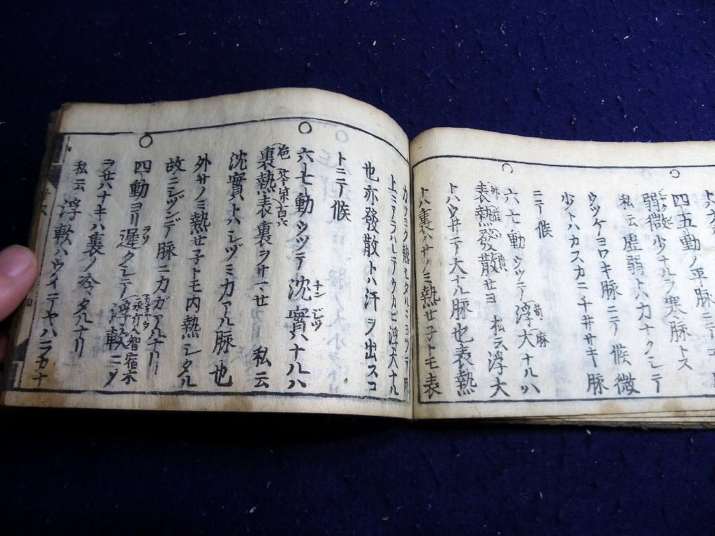 イメージ 4