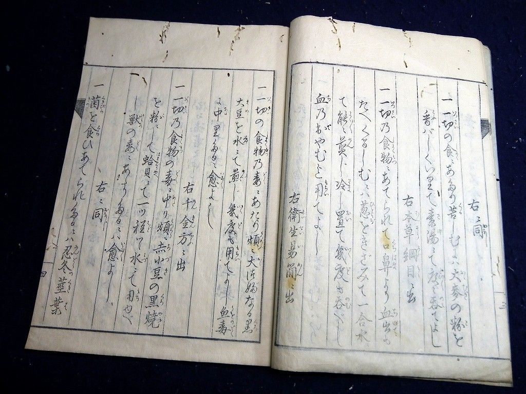 イメージ 5