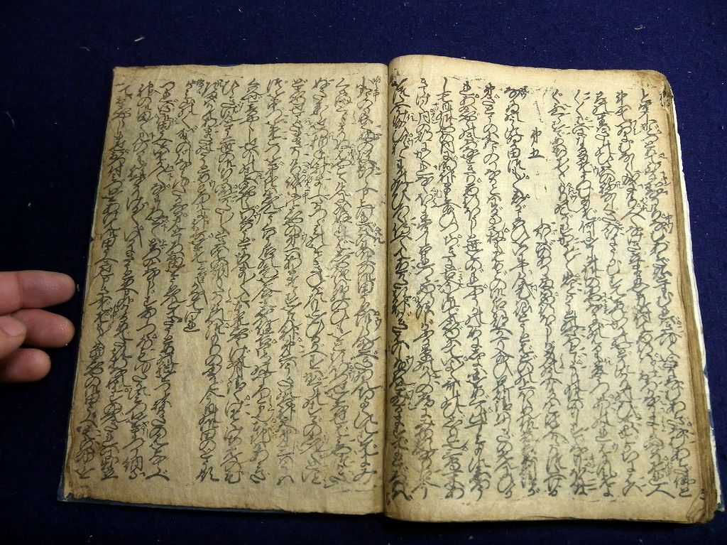 イメージ 6